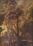 Peter Paul Rubens Jagd der Atalante painting